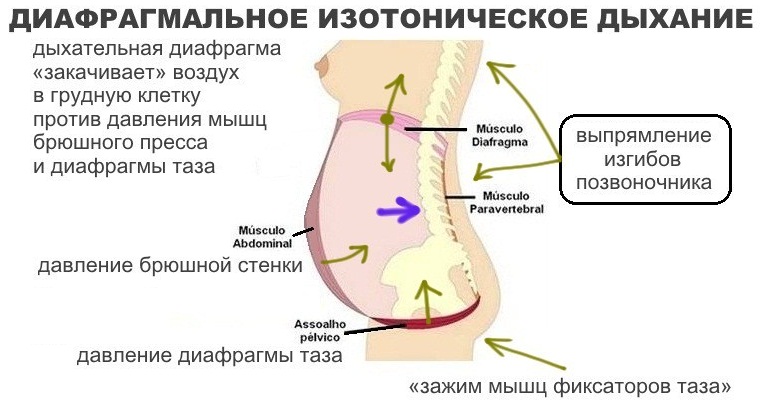 Диафрагмальное дыхание для детей картинки